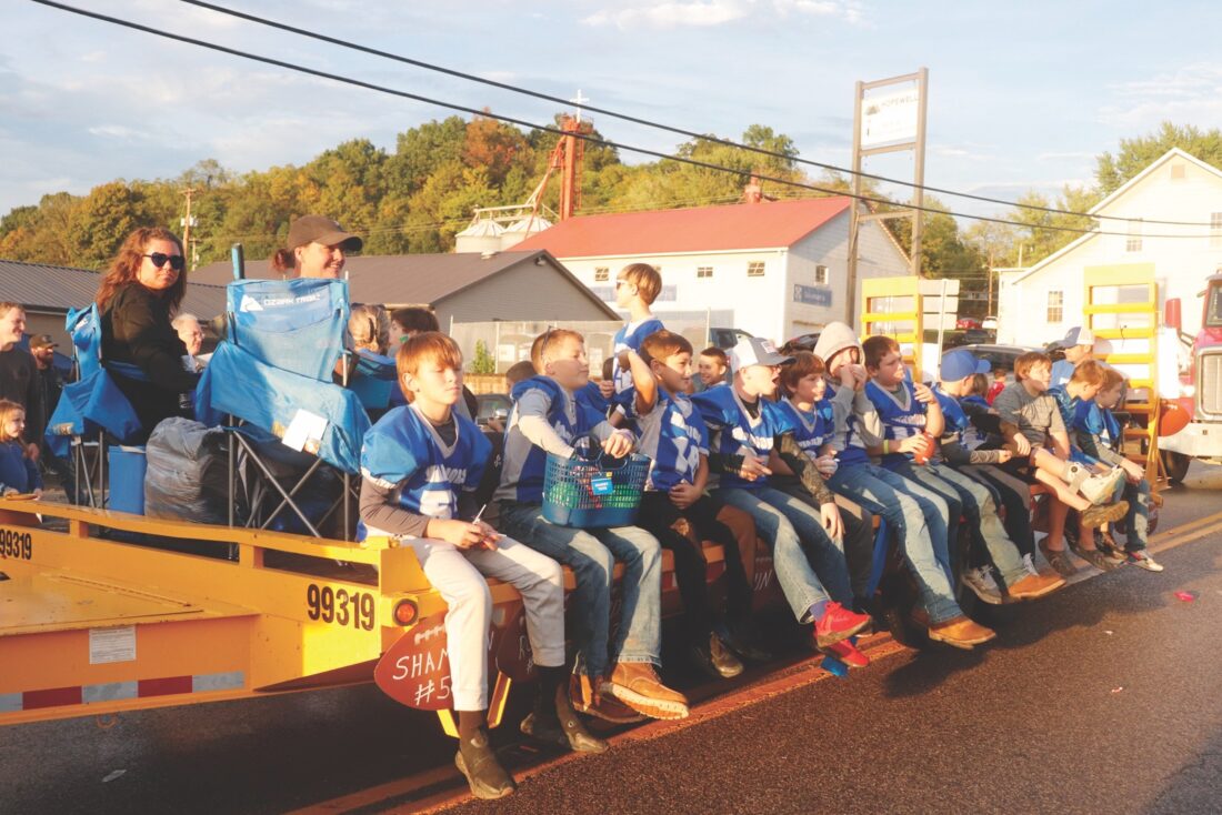 Picture This The Barlow Independent Fair Marches On… News, Sports